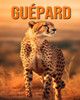 Guépard: Des Informations et des Images Amusantes et Intéressantes concernant les Guépard