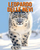 Leopardo delle nevi: Fatti e immagini divertenti e affascinanti sui Leopardo delle nevi