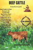 Beef Cattle: Beef Cattle: A Vital Resource for Sustainable Agriculture. Beef cattle serve an important role in food production, sup