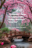 Awaken your purpose in life Find meaning in every day: IKIGAI, Japan's Secrets to Discover Their Reason for Existence Awaken your purpose in life