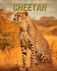 Cheetah: Amazing Picture and Facts About Cheetah for Children's