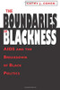 The Boundaries of Blackness: AIDS and the Breakdown of Black Politics