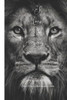 El LeÃ³n Del Rey