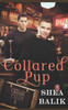 The Collared Pup