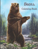Bears Coloring Book: A painting fun for children and adults