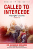 Called to Intercede Volume 13: Praying for Churches