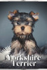 Yorkshire Terrier: Dog breed overview and guide