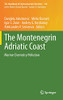 The Montenegrin Adriatic Coast: Marine Chemistry Pollution (The Handbook Of Environmental Chemistry, 110)