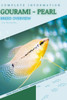 Gourami - Pearl: From Novice to Expert. Comprehensive Aquarium Fish Guide