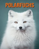 Polarfuchs: Buch mit lustigen Fakten für Kinder mit tollen Fotos