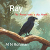 Ray - The Raven with a Big Heart