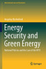 Energy Security And Green Energy: National Policies And The Law Of The Wto (International Law And Economics)