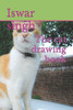 The cat drawing book