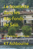 Le Squelette dans les Bas-fonds de SalÃ²: Les MystÃ¨res du Lac de Garde 13