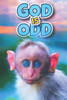 God Is Odd