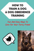 How To Train A Dog & Dog Obedience Training: Fun And Easy Ways To Care For Your Furry Friend: How To Communicate With Your Dog