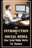 The Introduction Of Social Media: How Social Media Works For Business: The Value Of Marketing Techniques