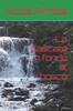 La cascata in fondo al bosco