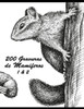 200 Gravuras de MamÃ­feros 1 & 2
