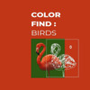 Color Find: Birds: Color by number activity book