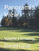 Panoramic View: Volume 2 Amazing