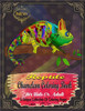 Reptile Chameleon Coloring Book: For Kids Or Adult A Unique Collection Of Coloring Pages