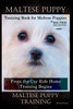 Maltese Puppy Training Book for Maltese Puppies By D!G THIS DOG Training, From the Car Ride Home Training Begins, Maltese Puppy Training