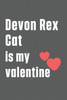 Devon Rex Cat is my valentine: For Devon Rex Cat Fans