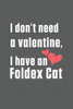 I don't need a valentine, I have a Foldex Cat: For Foldex Cat Fans