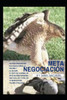 Meta-Negociacion: Efecto Leverage