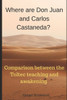 Where are Don Juan and Carlos Castaneda?