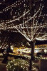 Lights: The Nights of