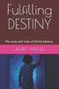 Fulfilling DESTINY: The route and rules of Divine Destiny