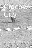 Cracow City: Cracow