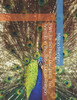EWE for the New Diaspora: The Animals in the Afro-Cuban Religion