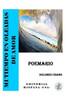 Mi Tiempo en Oleadas de Amor: Poemario