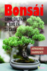 Bonsai: Como Cultivar El Tuyo En Tu Casa