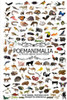 Poemanimalia: El Mundo Animal Hecho PoesÃ­a