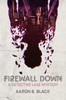Firewall Down: A Detective Lake Mystery