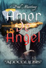 Amor de Ãngel: Apocalipsis