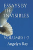 Essays by the Invisibles: Volumes 1-7