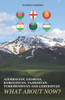 Azerbaijan, Georgia, Kyrgyzstan, Tajikistan, Turkmenistan and Uzbekistan: What about Now?