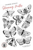 Stunning Moths: Colorize the moths