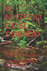 O Mistério Do El Dorado: Aventuras Na Floresta Amazônica