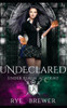 Undeclared: Witches vs Necromancers vs Dragons