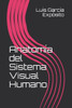 Anatomía del Sistema Visual Humano