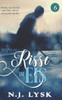 Risse im Eis: buch 6