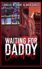 Waiting For Daddy Christmas: A Daddy Mpreg Christmas Gay Romance