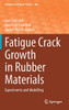 Fatigue Crack Growth In Rubber Materials: Experiments And Modelling (Advances In Polymer Science, 286)