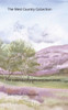 The West Country Collection: An anthology of poetry and short stories